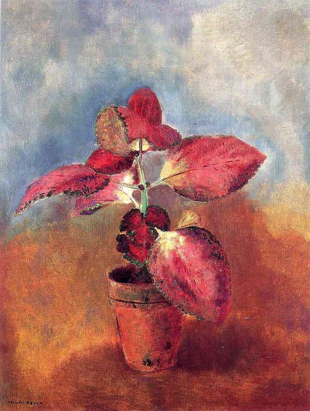 Begonia in a Pot — Odilon Redon
