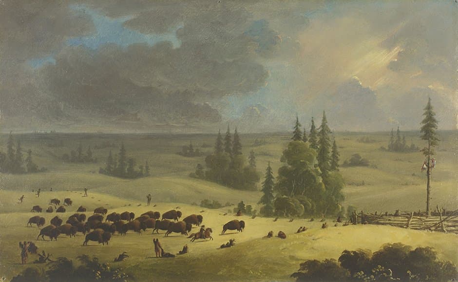 The Buffalo Pound — Paul Kane