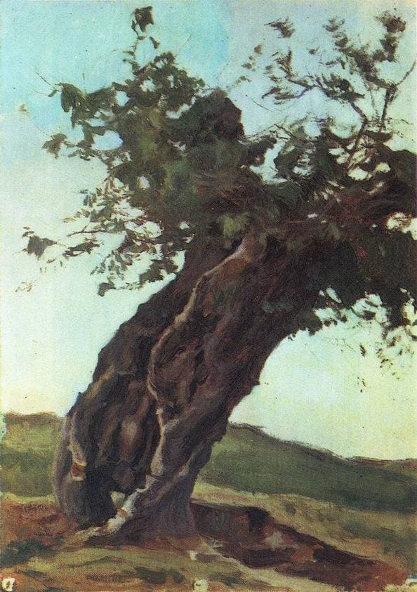Old trunk — Konstantin Bogaevsky
