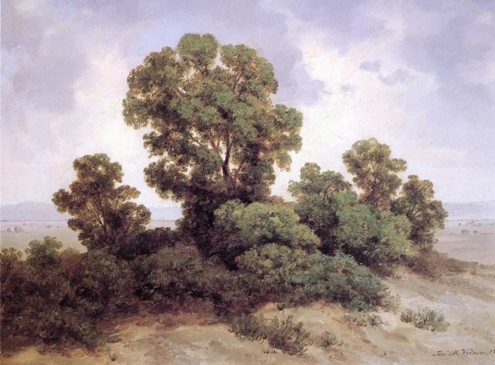 Estudio de árboles — Jose Maria Velasco