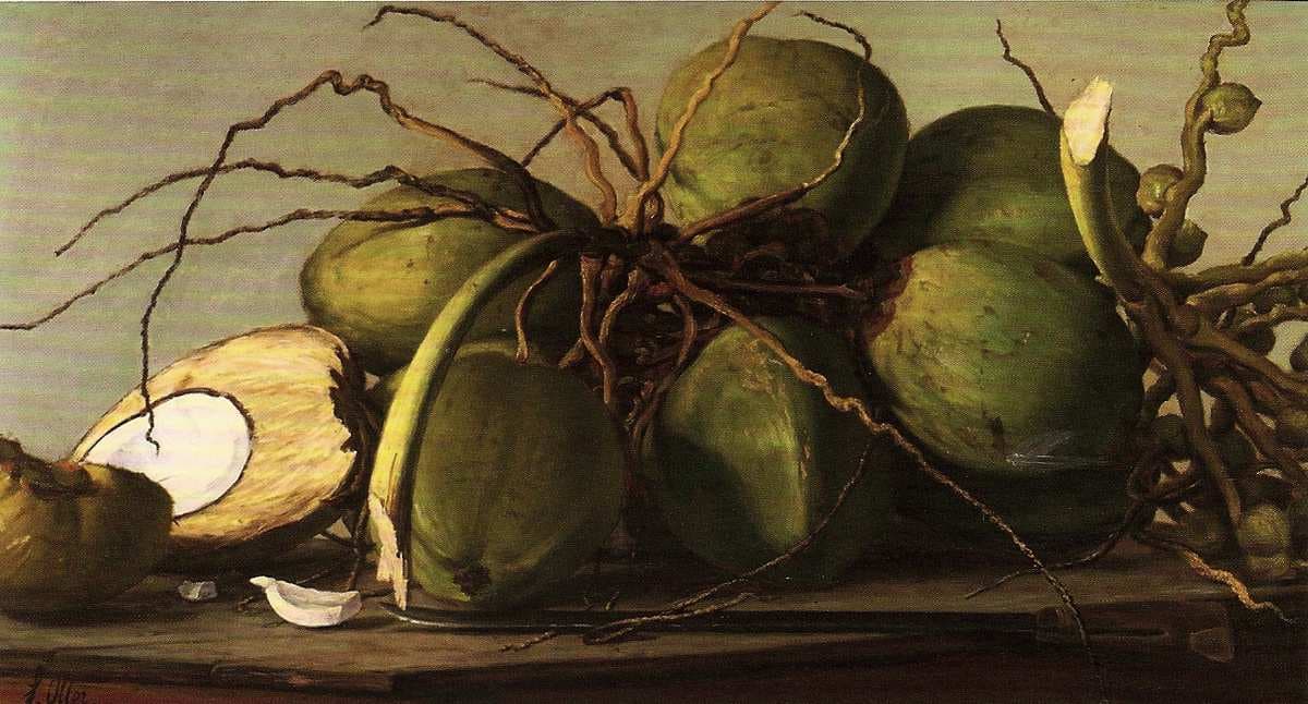 Cocos — Francisco Oller