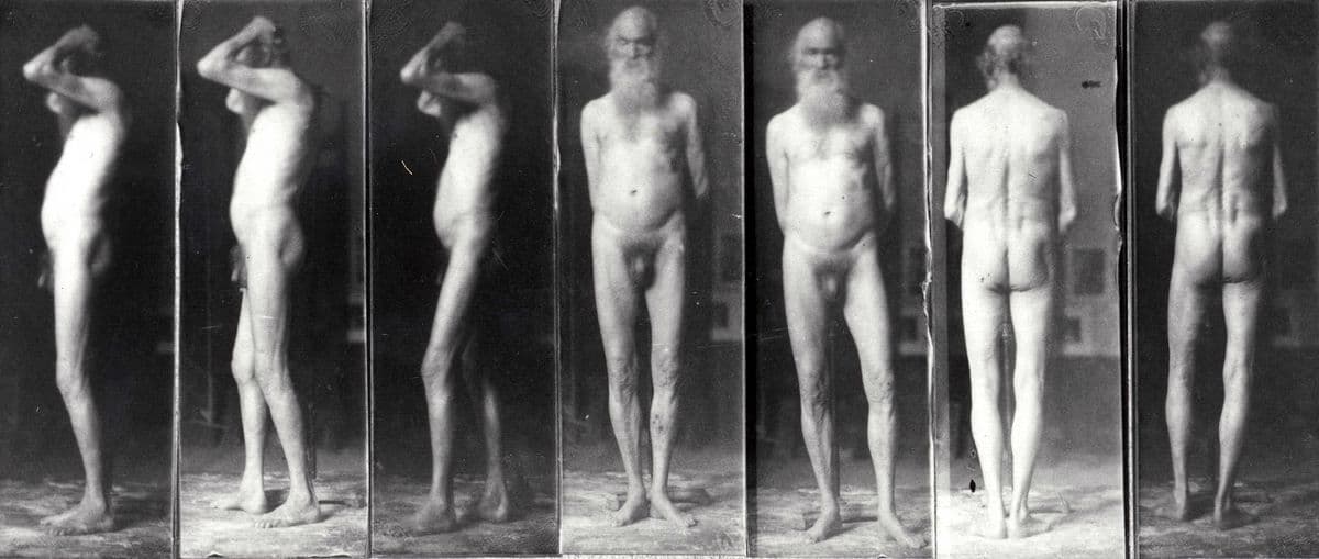 Portrait of an old man in the nude — Thomas Eakins