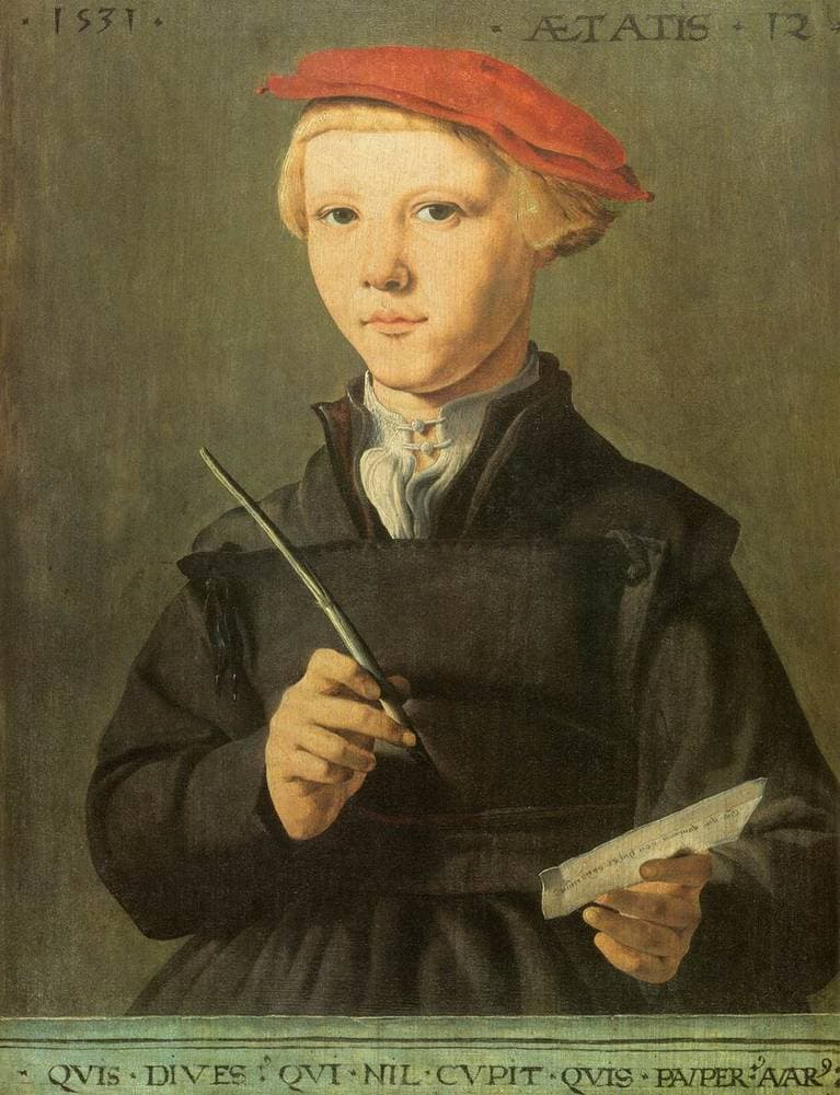 Portrait of a young scholar — Maarten van Heemskerck