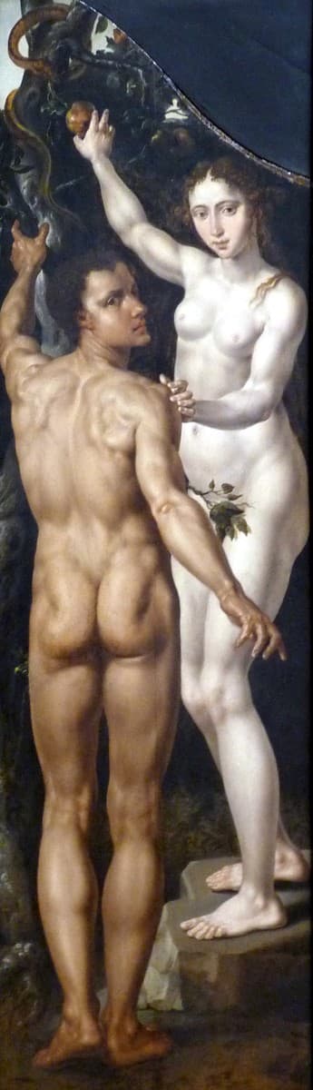 Adam and Eve — Maarten van Heemskerck
