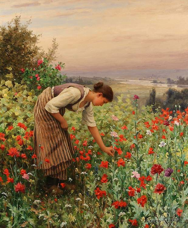 Girl Picking Poppies — Daniel Ridgway Knight