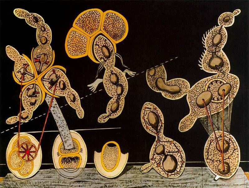 The Gramineous Bicycle Garnished with Bells the Dappled Fire Damps and the Echinoderms Bending the Spine to Look for Caresses — Max Ernst
