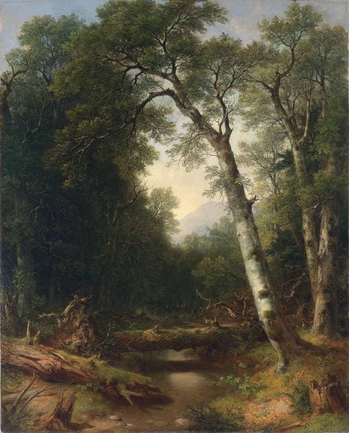 A Creek in the Woods — Asher Brown Durand