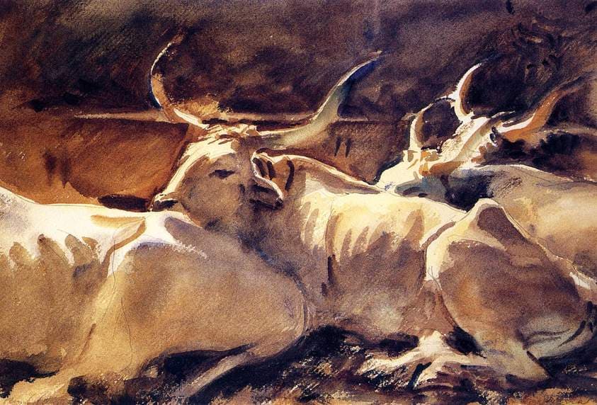 Oxen in Repose — John Singer Sargent