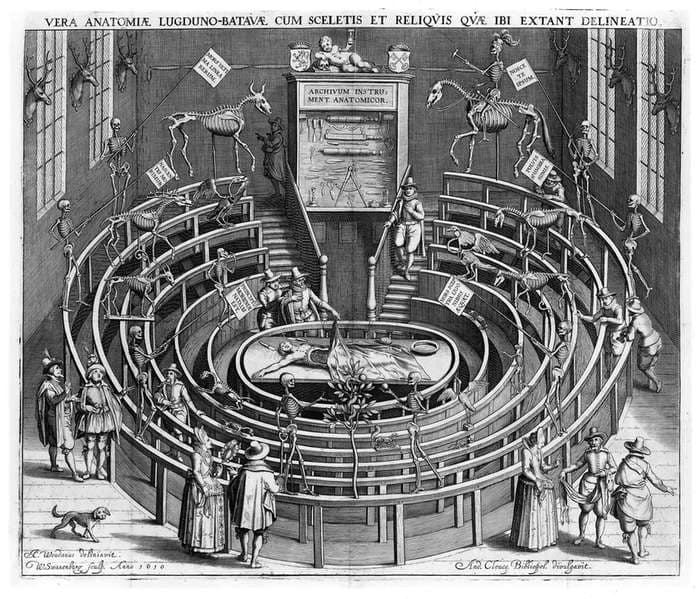 Leiden University's Anatomical Theatre — Willem van Swanenburg