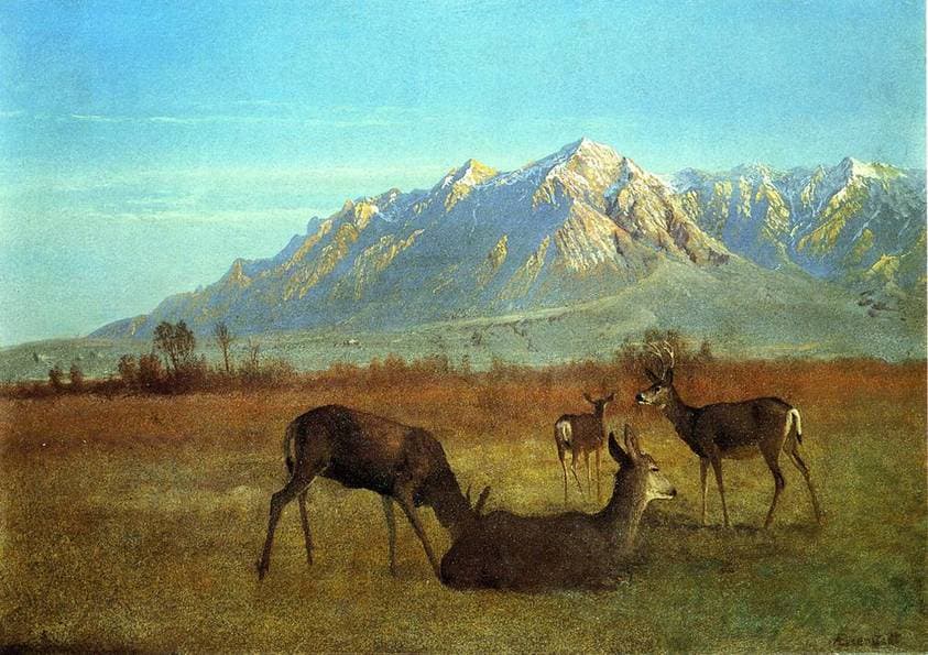 Deer in a Mountain Home — Albert Bierstadt