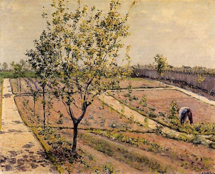 Kitchen Garden, Petit Gennevilliers — Gustave Caillebotte