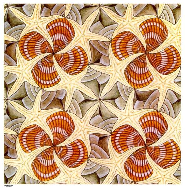 Shells and Starfish — M.C. Escher