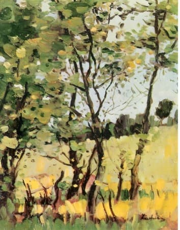 The River Meadow at Poduri — Stefan Luchian