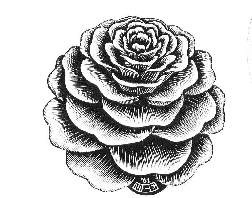 Flower — M.C. Escher