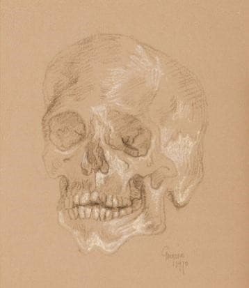 Skull — Gregoire Boonzaier