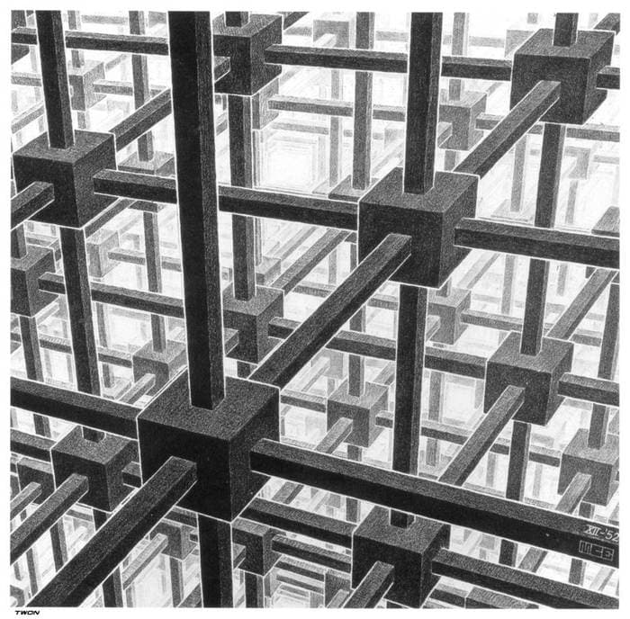 Cubic space division — M.C. Escher