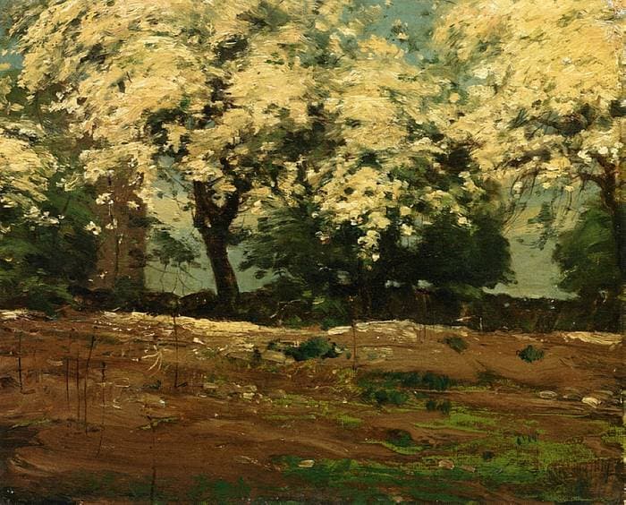 Blossoms — Childe Hassam