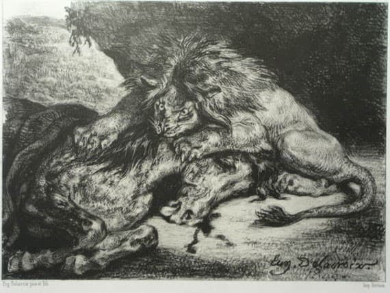 Lion devouring an Arab horse — Eugène Delacroix