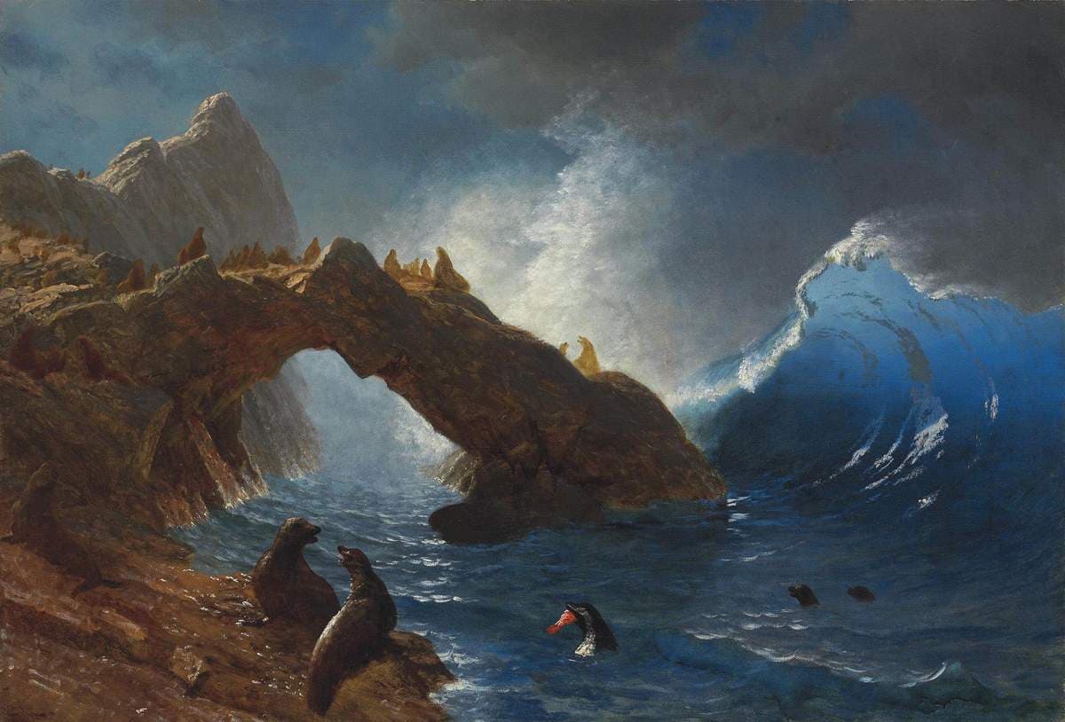 Seals on the Rocks — Albert Bierstadt
