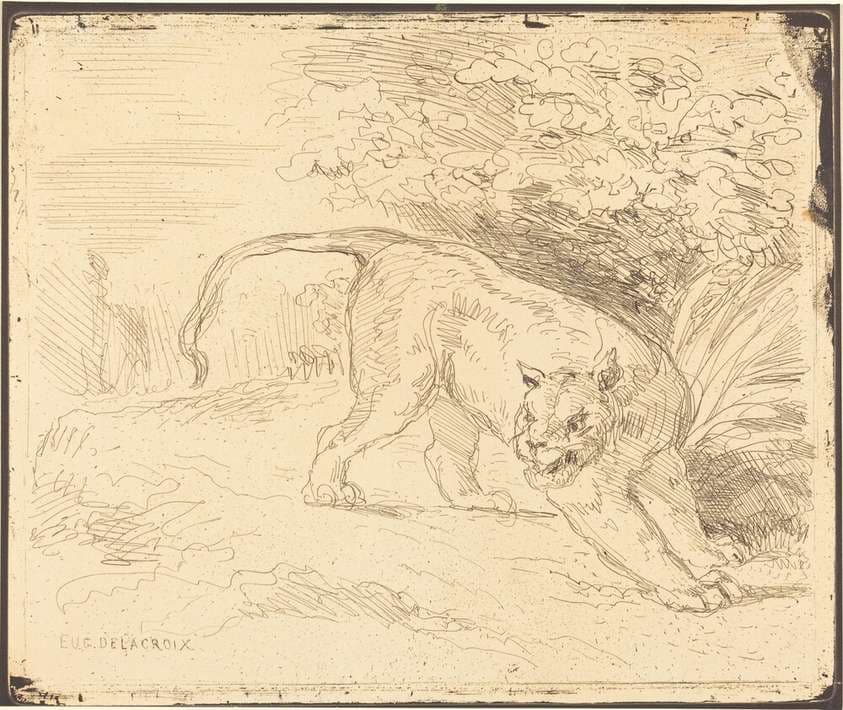 Tigre en arrêt — Eugène Delacroix
