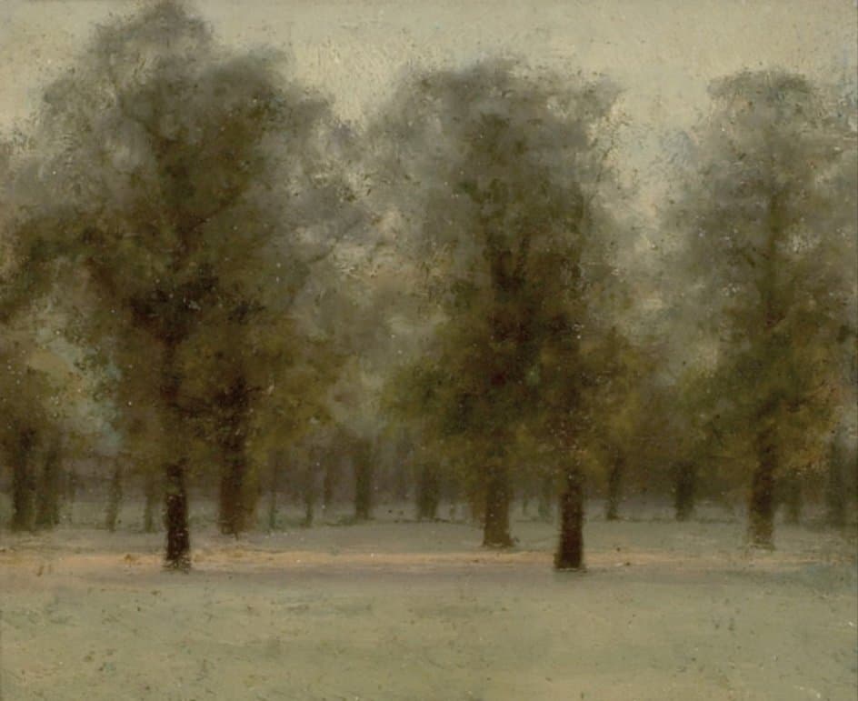 Beech Trees at Sunset, Kensington Gardens — Paul Maitland