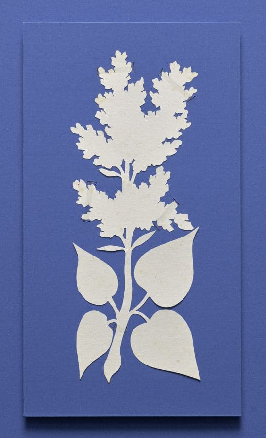 Lilac — Philipp Otto Runge