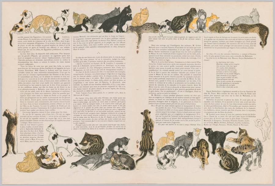 On Cats by Jacques Dalbray — Théophile Steinlen