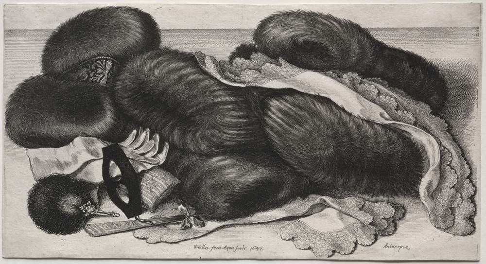 Muffs, Gloves, Collars and Other Articles of Toilet — Wenceslaus Hollar