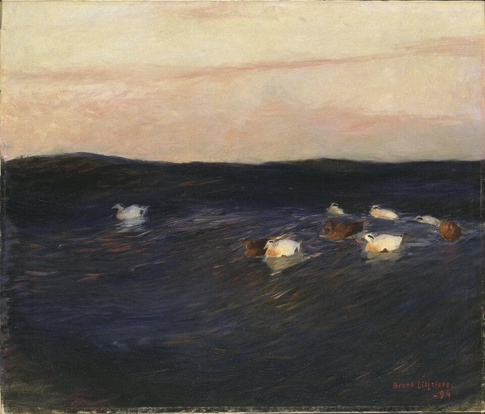 Eider Ducks — Bruno Liljefors