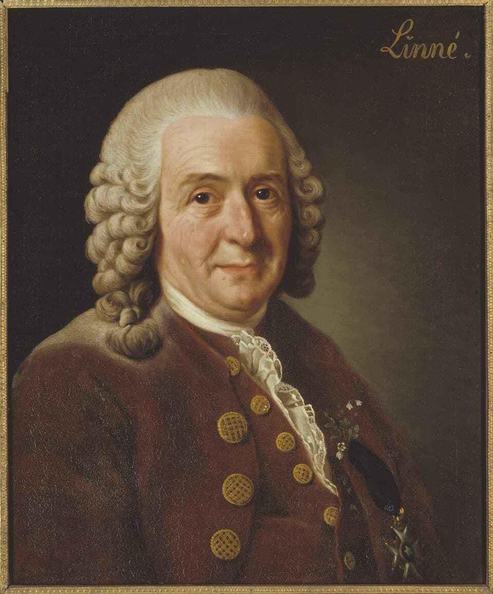 Carl Linnaeus (1707–1778), Professor and Botanist, 1775 — Alexander Roslin