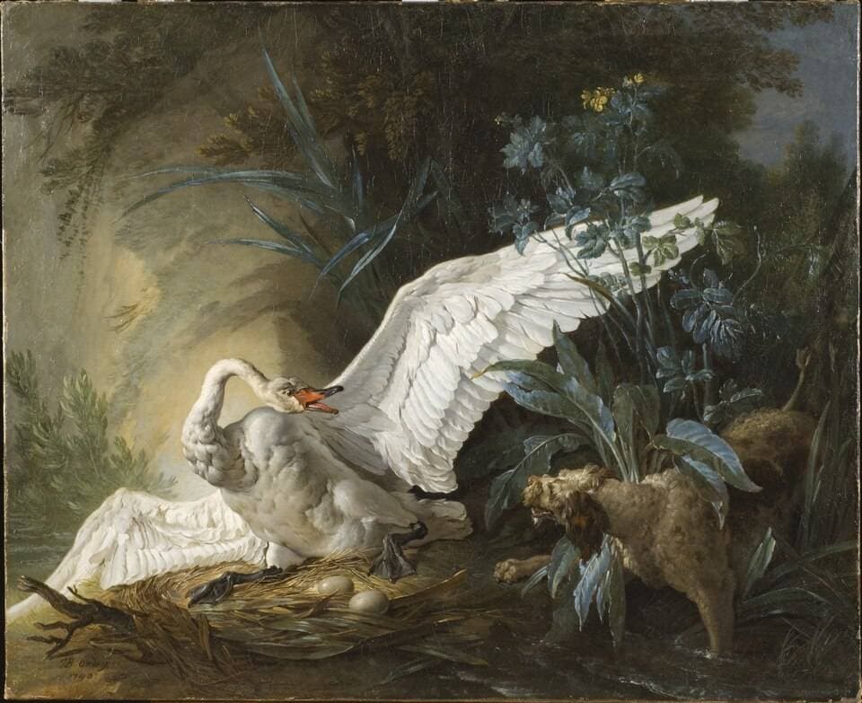 Water Spaniel Surprising a Swan on its Nest — Jean-Baptiste Oudry