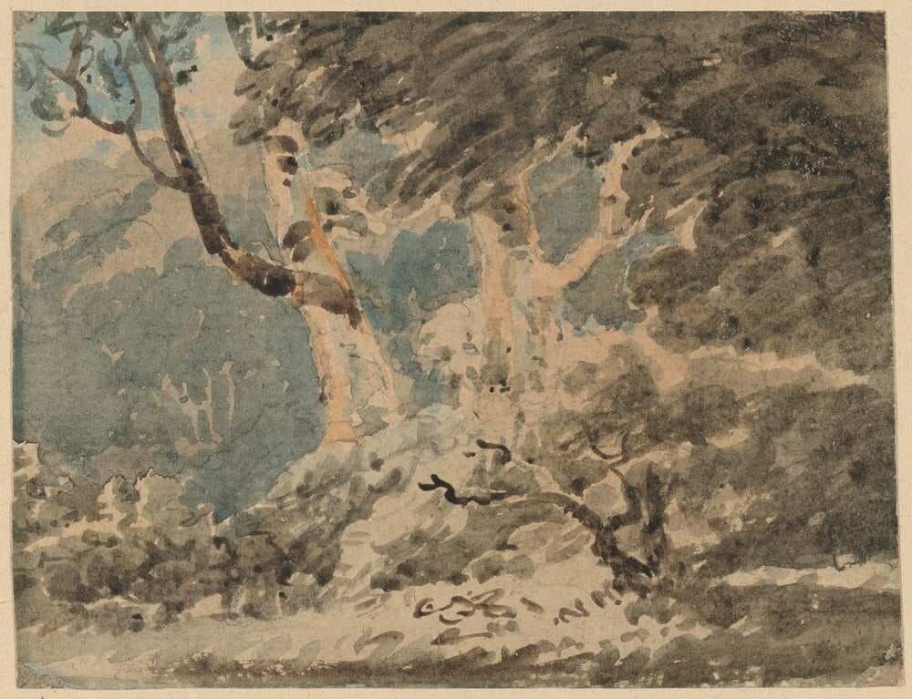 The Edge of a Wood — Thomas Girtin