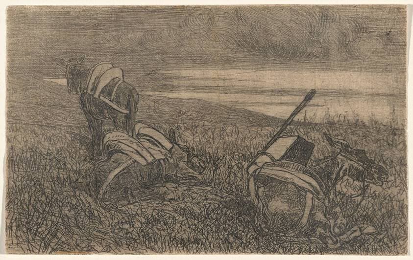Little Donkeys at Rest (Sosta di somarelli) — Giovanni Fattori