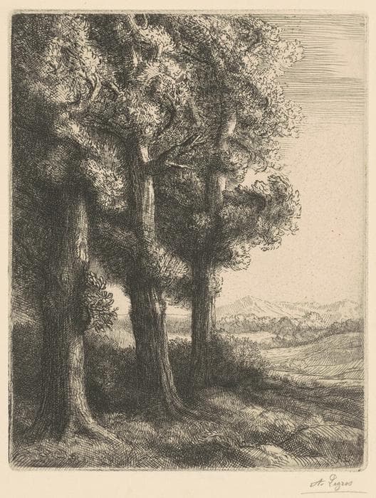 Corner of a Wood (Coin d'un Bois) — Alphonse Legros