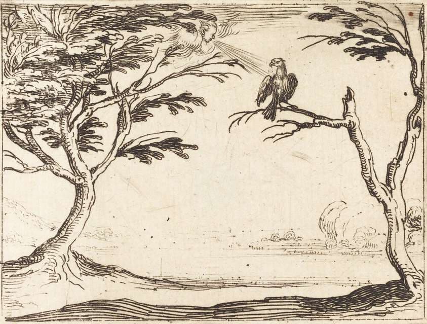 The Vulture — Jacques Callot