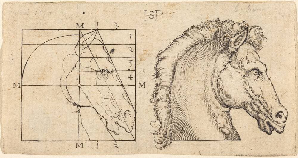 Profile Study of Two Horse Heads — Sebald Beham