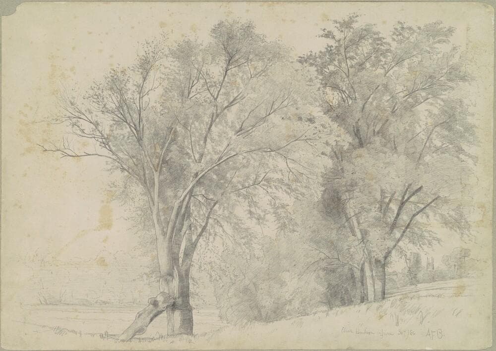 Elms, Hudson — Andrew Fisher Bunner