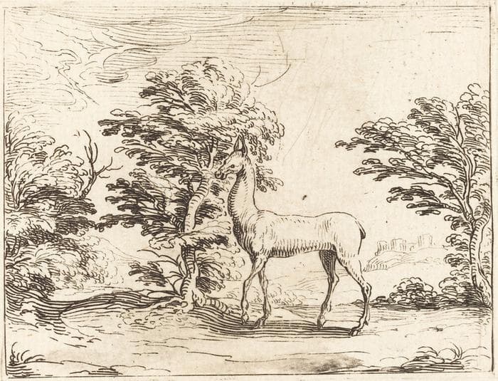 The Doe — Jacques Callot
