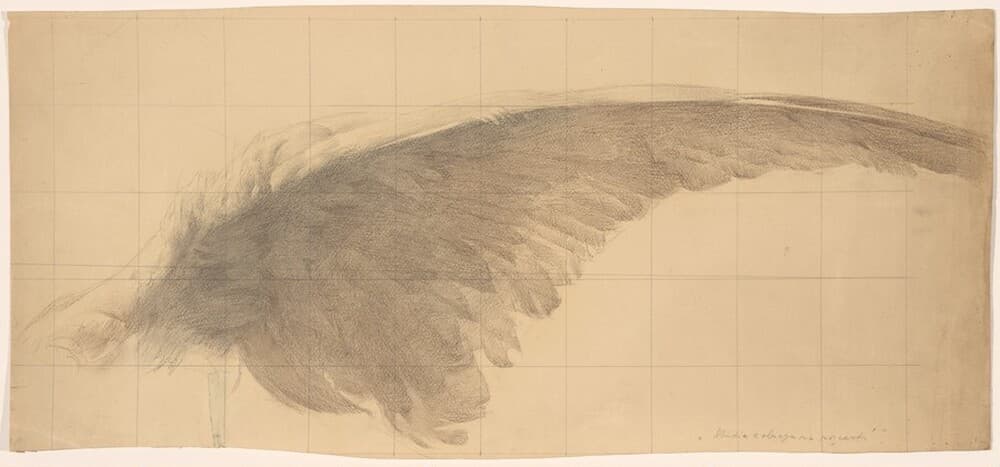 The Wing — Karel Vitezslav Masek