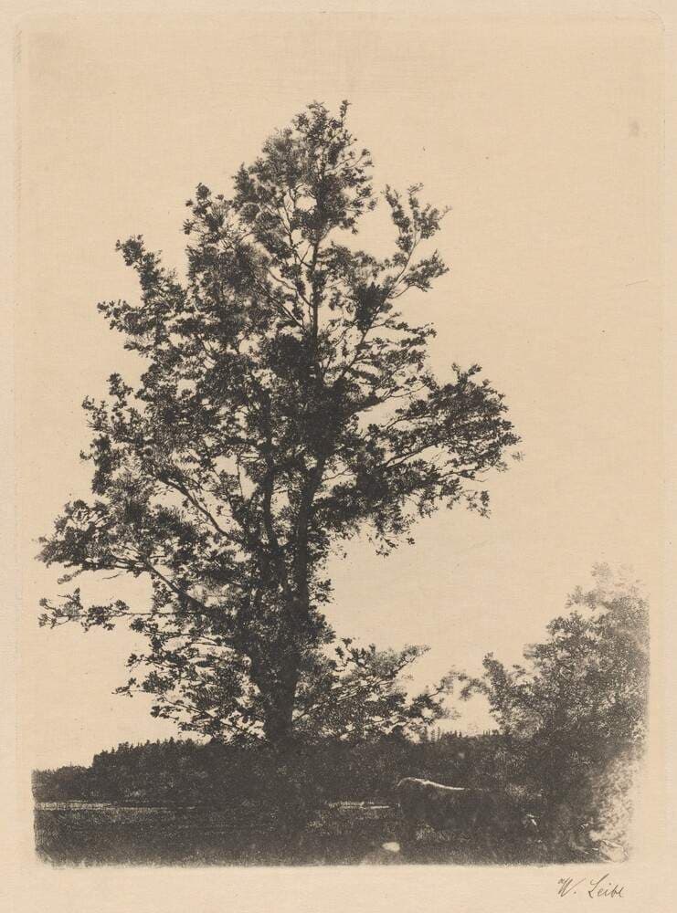 The Large Tree — Wilhelm Leibl
