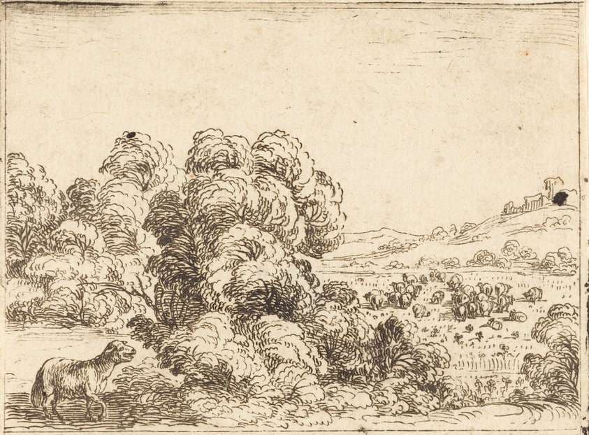 Sheep Calling Lamb — Jacques Callot