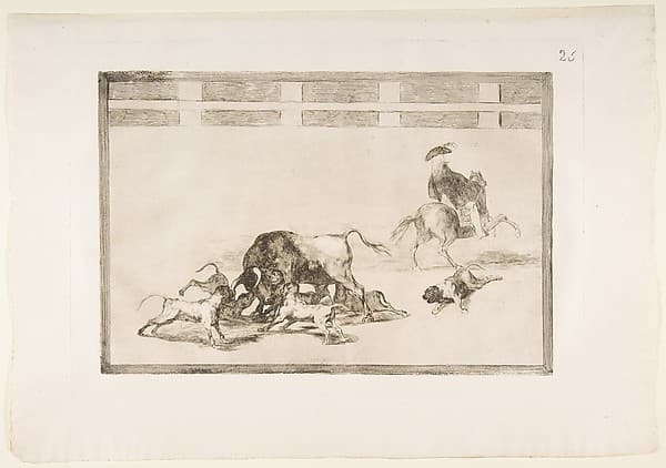 Plate 25 from "La Tauromaquia": They loose dogs on the bull — Francisco Goya