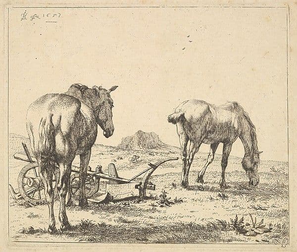 Les deux chevaux près de la charrue — Karel Dujardin