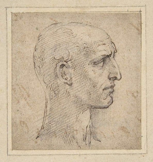 Head of a Man in Profile to Right — Parmigianino