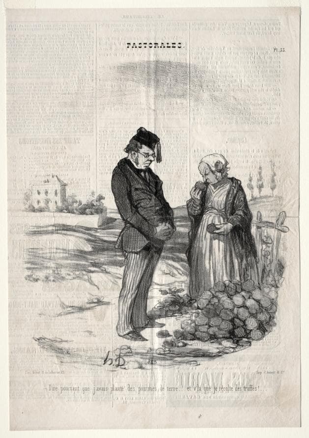 How strange.... I had planted potatoes, and here I am harvesting truffles! — Honoré Daumier