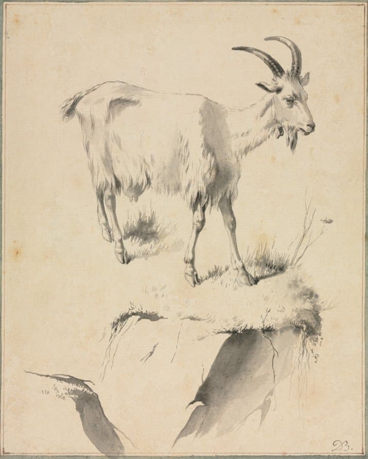 Study of a Goat — Jean-Jacques de Boissieu