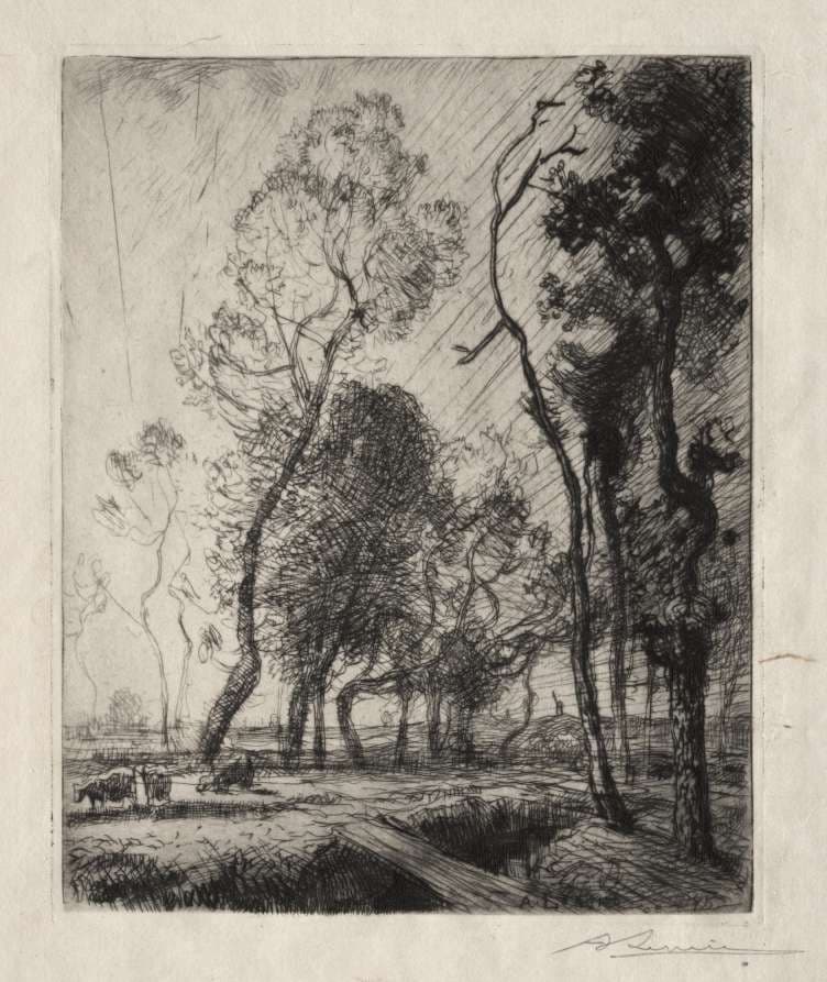 Coucher de Soleil derrière les Arbres — Auguste Lepère