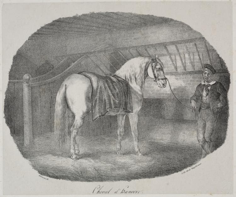 Horse from Hanover — Théodore Géricault