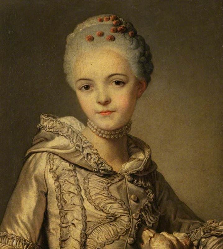 Portrait of a Lady in a Grey Dress with a Dog — Alexander Roslin