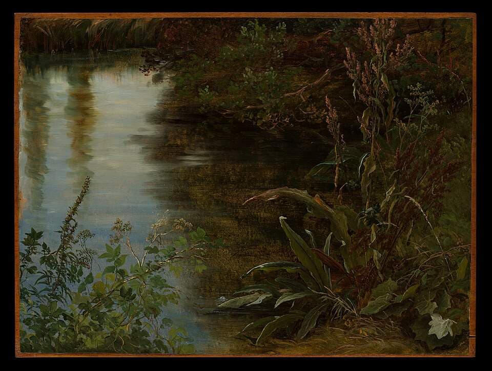 Study of Water and Plants — Attributed creator